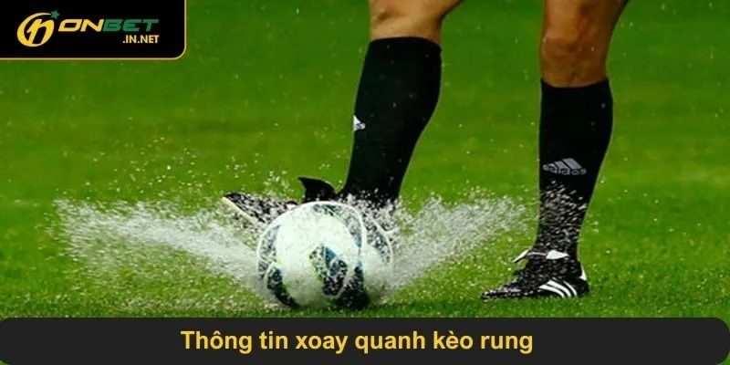 Thông tin xoay quanh kèo rung